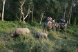 Chitwan National Park