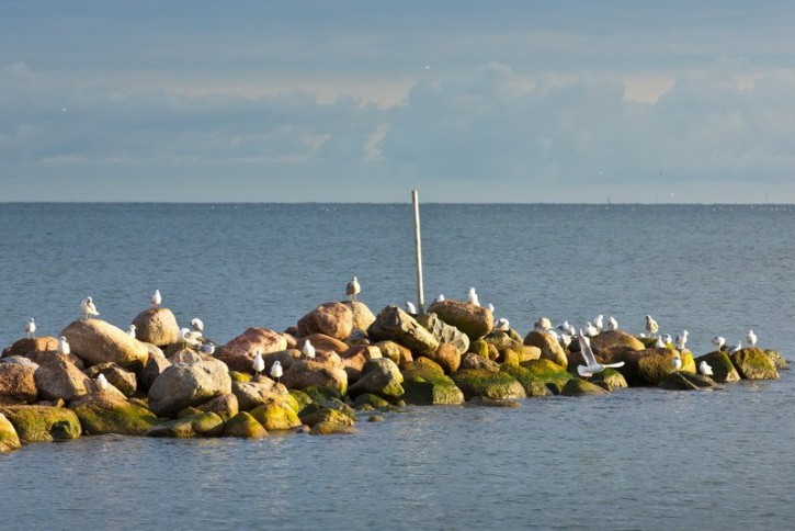 Prangi Island Prangi Island